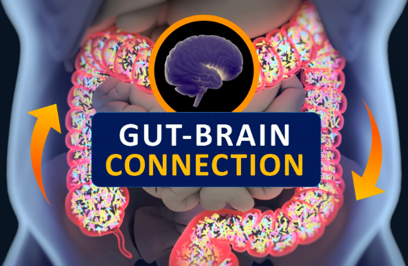 mental health determined by gut health