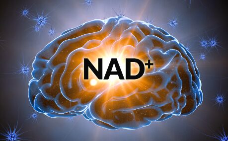 NAD deficiency alcoholism